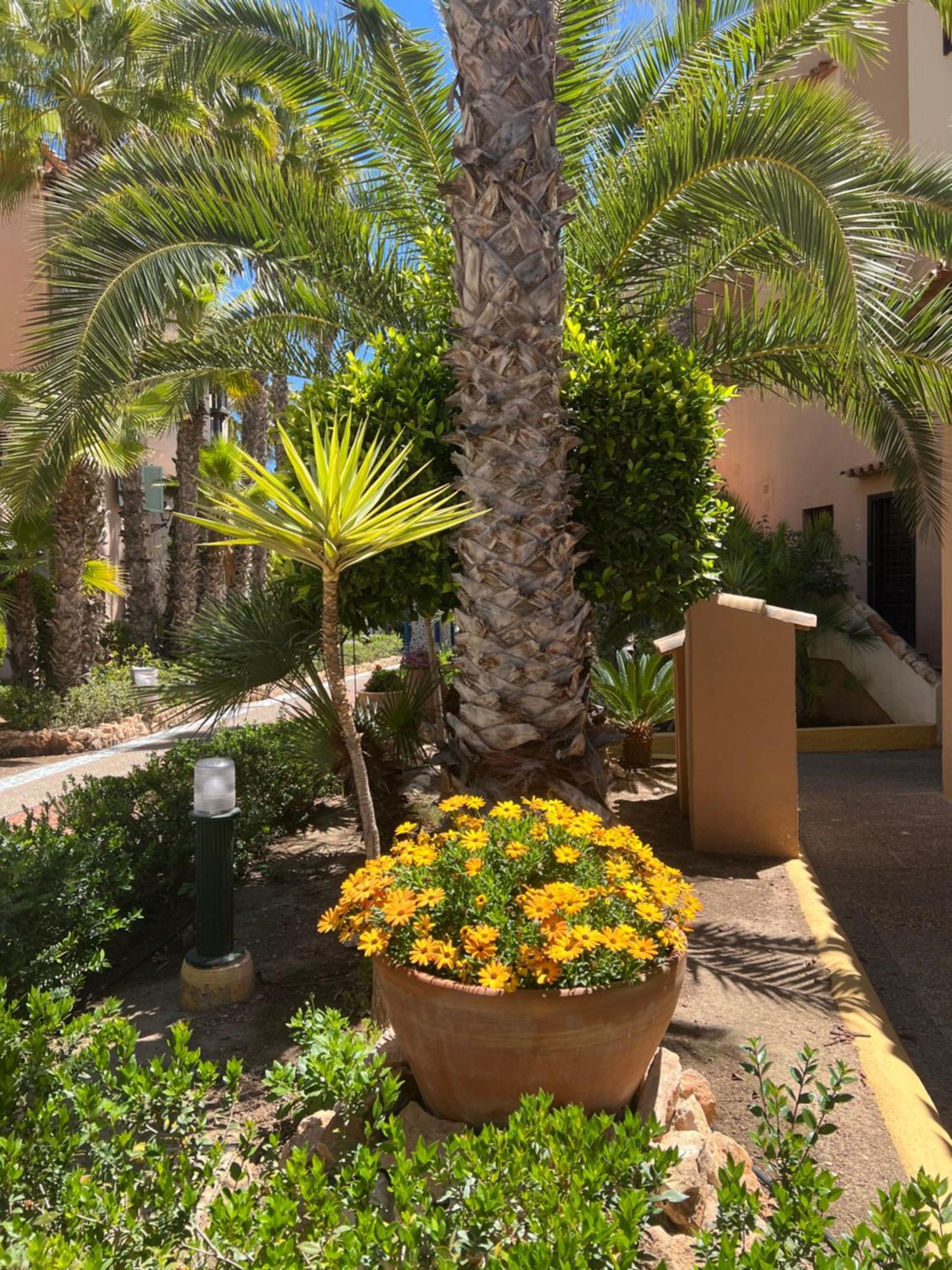 Casa al mare Aldea Apartment Torrevieja Exterior foto